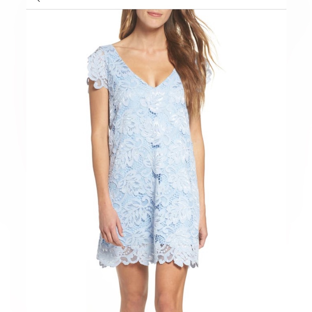 BB Dakota Jacqueline Lace Shift Dress - Size small